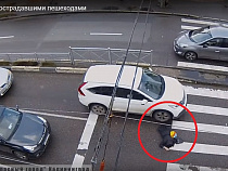На видео попал наезд на ноги пешеходу в Калининграде 