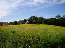 В Калининградской области планируют создать несколько новых агломераций