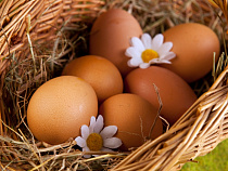 В Калининградской области самые дешевые в России яйца