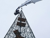 Дятлова пообещала купить новую ёлку на площадь Победы в будущем году