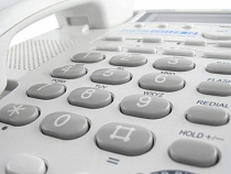 Калининградцы смогут сообщить о нарушениях на выборах по горячей линии