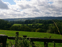 Арендатора земельного участка в 20 га под Багратионовском оштрафовали на 20 тысяч рублей