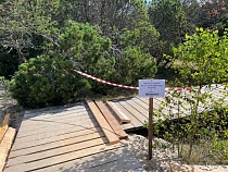 Деревянная лестница на Куршской косе не выдержала потока туристов