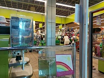 Пара из Светлогорска и Калининграда обобрала косметический отдел