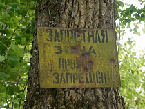 ООО «Веги» обвинили в чрезмерной вырубке лесов