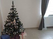 Калининградцы на 27-м месте в рейтинге желающих встречать Новый год за рубежом