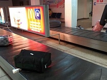 В аэропорту Калининграда задержали чемодан с 768 яйцами