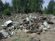 В одном из муниципалитетов Калининградской области несанкционированная свалка была организована прямо возле кладбища