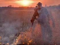 Калининградцы нарушают земельные законы на 42 га 