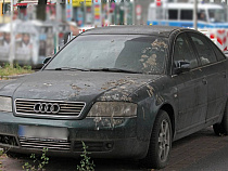 На улице Н. Карамзина огонь уничтожил «Ауди А6»