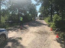 На просёлочной дороге под Калининградом чуть не погибли пятеро детей (видео)