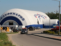 Противники дельфинария в Калининграде подали заявку на пикет