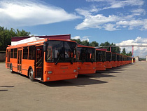 В Калининграде появится 30 оранжевых автобусов из Белоруссии