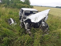 В Багратионовском районе в наехавшей на дерево «Шкоде» ранены супруги