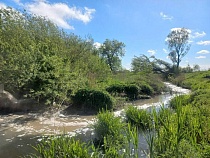 В Калининградской области фабрика продолжала гробить реку стоками?