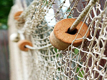 Браконьеры: для двух жителей Калининградской области рыбалка оказалась золотой