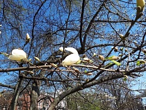 В Калининградской области прогнозируют заморозки, дождь, штормовой ветер