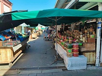 Иностранка назвала еду в Калининграде, которую нельзя купить в Голландии