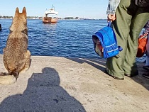 Балтийск мечтает о полной оплате паромов на косу из бюджета региона