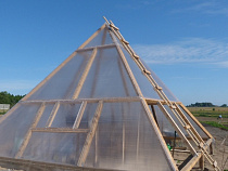 В кедровом питомнике под Зеленоградском установили пирамиду