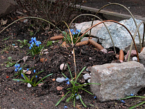 Родных убитой в Калининграде цветочницы постигло новое горе