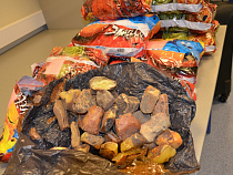 В столичном аэропорту у гражданина Китая изъяли почти полцентнера калининградского янтаря