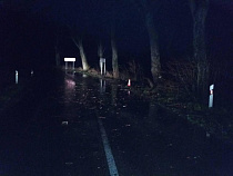 В ДТП под Зеленоградском погибли 23-летний водитель без прав и два пассажира