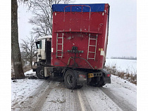Под Нестеровым фура не вписалась в придорожные деревья