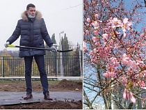 Алиханов сгонял с газонов рвущих сакуру