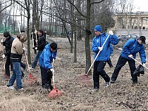 Калининградцев зовут убраться в Макс-Ашманн-парке