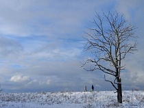 Калининградской области пообещали ещё ветер со снегом