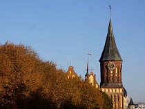 В Калининградской области раскрыта главная интрига ноября