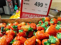 В Калининградскую область на клёнах хотели завезти болезнь клубники