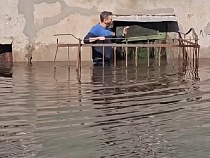 Гид из Калининграда стал погружаться в воду прямо у дома