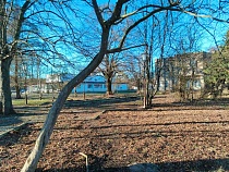 Назначена дата общественных слушаний «стены смерти» в Рыбачьем