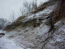 Нацпарк “Куршская коса” планирует составить интерактивную карту участков 