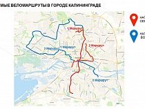 Опубликован план магистральных велодорожек Калининграда