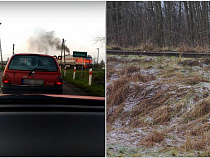 Поезд “Гдыня-Калининград” совершил экстренное торможение из-за косули