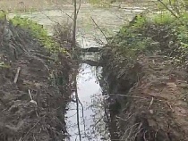 Под Светлогорском забили тревогу о спуске озера в море
