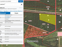 Минэнерго России потребовало сделать лес у Взморья производственной зоной