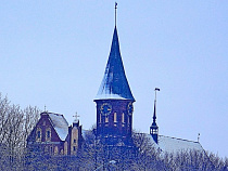 Новогодние концерты в Кафедральном соборе: программа с 1 по 8 января 2017 года 