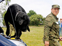 Калининградская таможня перечислила в бюджет России 10,8 миллиарда рублей