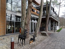 Власти Зеленоградска ответили за «столбик Антимоновой»