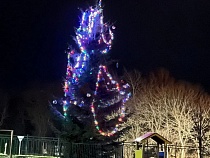 «Ужас, стыдоба»: в Приморске пожалели украшенную ёлку