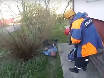 В Калининграде мужчина рискнул жизнью ради телевизора