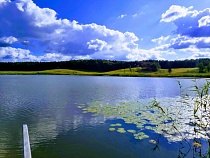 Туристы демонстративно наплевали на правила нацпарка в Калининградской области