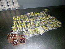 Турист из России вёз в Польшу лекарства в спинке сиденья автомобиля