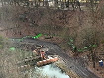 В ручье у Литовского вала в Калининграде вновь нашли зелёную жидкость