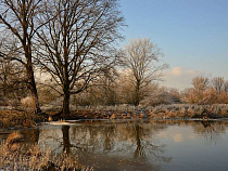 На проектирование расчистки рек в Калининградской области выделено 25 млн рублей