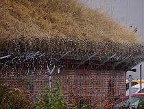 Калининградские "Ночные волки" собрались отапливать свою базу дровами